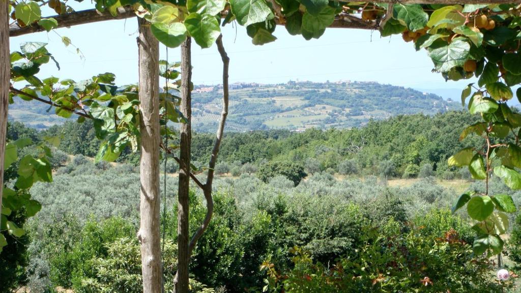 Podere Riparbella Масса-Мариттима Экстерьер фото